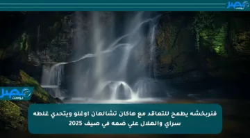 فنربخشة يطمح للتعاقد مع هاكان تشالهان أوغلو ويتحدى غلطة سراي والهلال على ضمه في صيف 2025